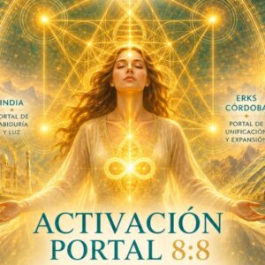 Activación Portal 8:8 - USD
